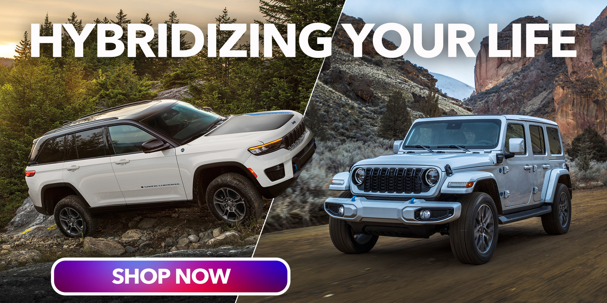 Max Regeneration Jeep