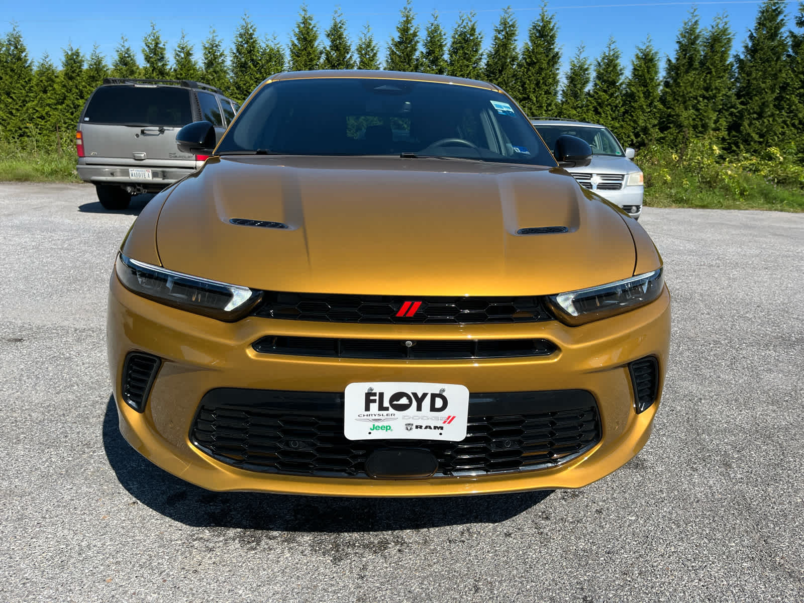 2025 Dodge Hornet R/T EAWD