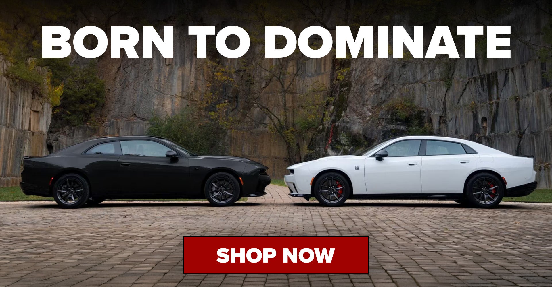 2027 Dodge Charger Floyd VA